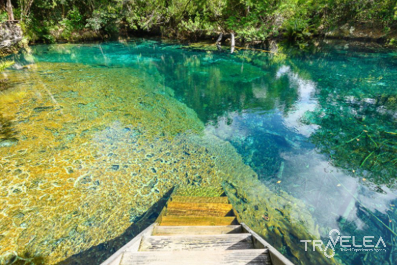 3 Viajes Travelea Plan Punta Cana